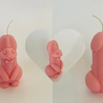 Penis Bunny