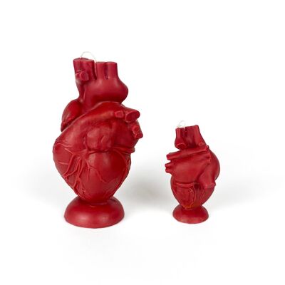 s Human Heart candle, doctor or surgeons gift