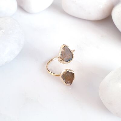 Forest Agate 2 stone Ring (SN627)