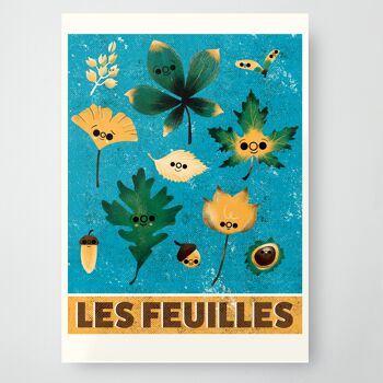 Collections : Feuilles 1