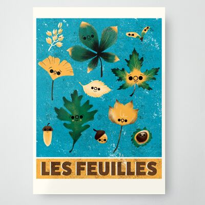 Collections : Feuilles