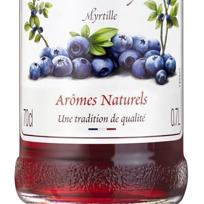Sirop de Myrtille MONIN - Arômes naturels - 70cl