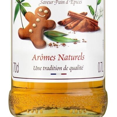 Sirop Saveur Pain d'épices MONIN pour aromatiser vos chocolats de Pâques - Arômes naturels - 70cl