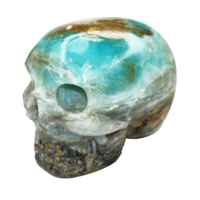 Crâne Opale Bleue des Andes - Taille L