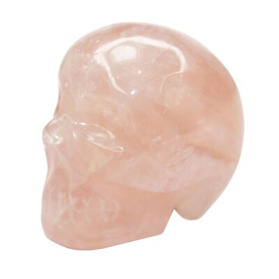 Rose Quartz Skull - Size L