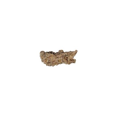 Fulgurite - Taille S - Pierre brute