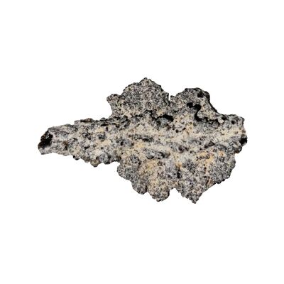 Fulgurite - Size XL - Rough Stone