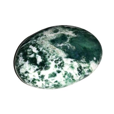 Tree Agate Pebble