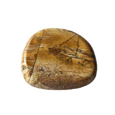 Landscape Jasper Pebble