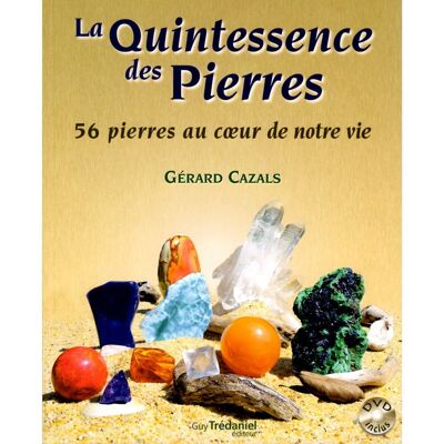 Die Quintessenz der Steine (DVD)