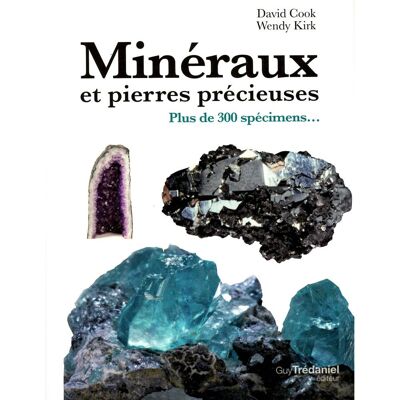 Minéraux et Pierres précieuses