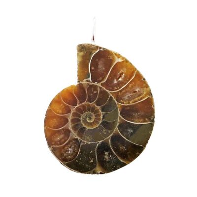 Pendentif Ammonite - Pierre brute