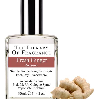 Fresh ginger - Gingembre frais 30ml