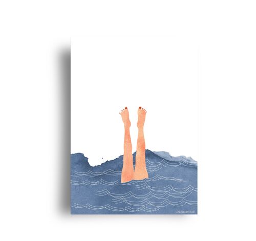 postcard 'sealife'