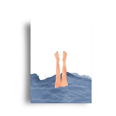 postcard 'sealife'