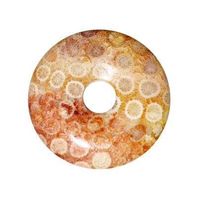 Donut de Coral Fosilizado o PI Chino - 40mm