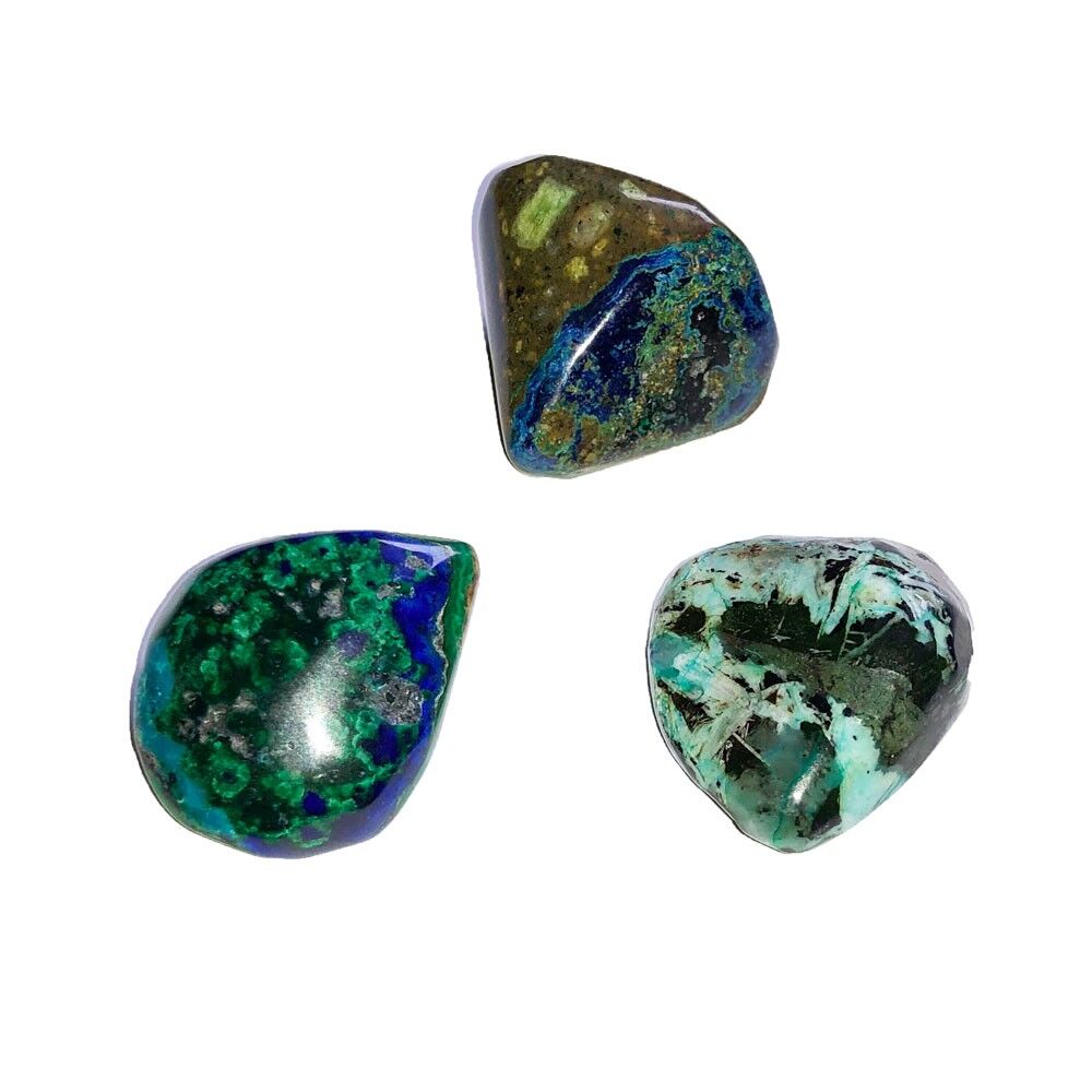 Gerollter Stein Versteinertes Holz