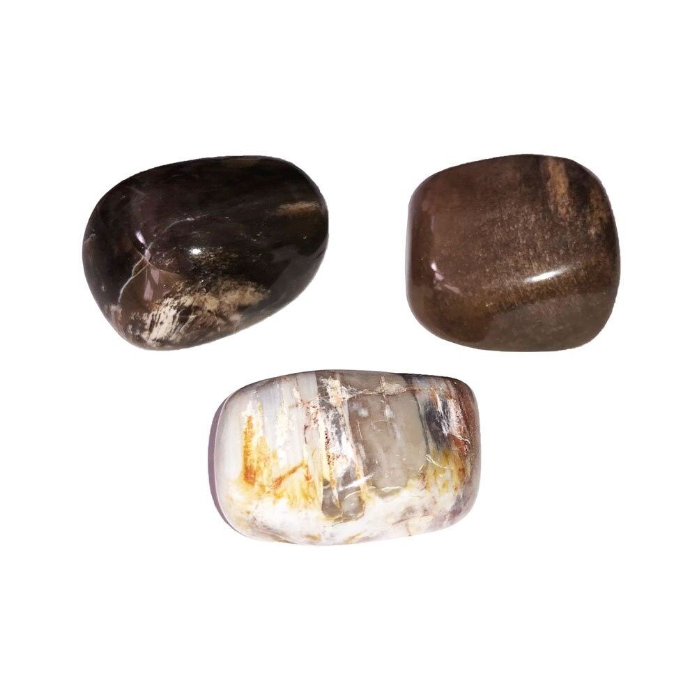 Piedra tumbada de bronzita