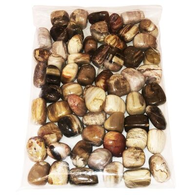 Rolled stones Fossilized wood - 250grs