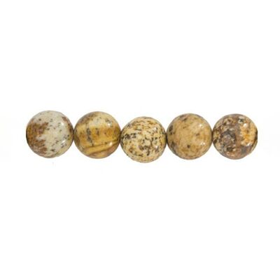 Bag of 5 Landscape Jasper beads - 12mm