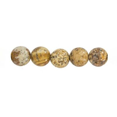Tüte mit 5 Landschafts-Jaspis-Perlen - 8 mm