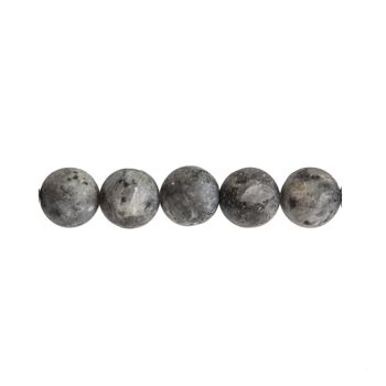 Sachet de 5 perles Larvikite - 10mm