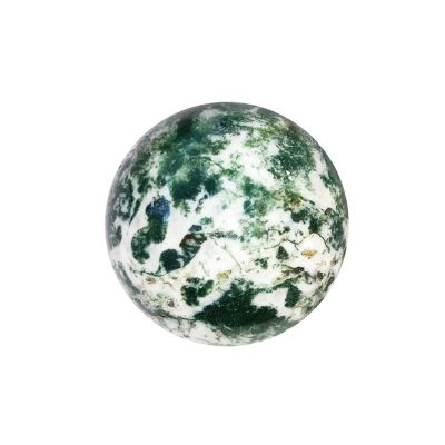 Sphère Agate Arbre - Entre 50 et 55mm