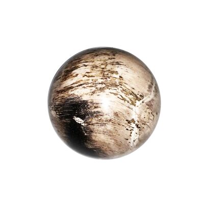 Sfera in legno fossile - 40mm