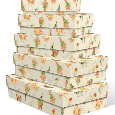 Set of 5 rectangular Boxes Cakes