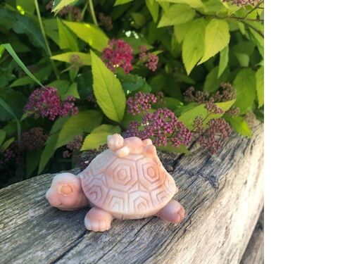 savon animaux tortue