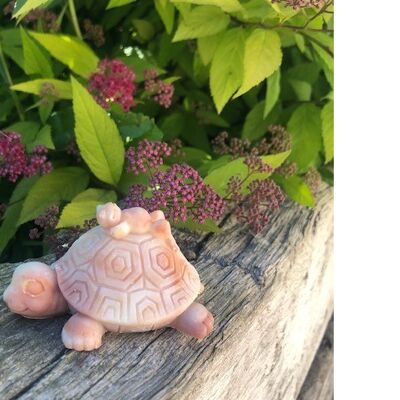 tortoise animal soap