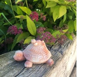 savon animaux tortue 1