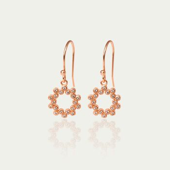 Boucles d'oreilles Sparkling, plaqué or rose 1