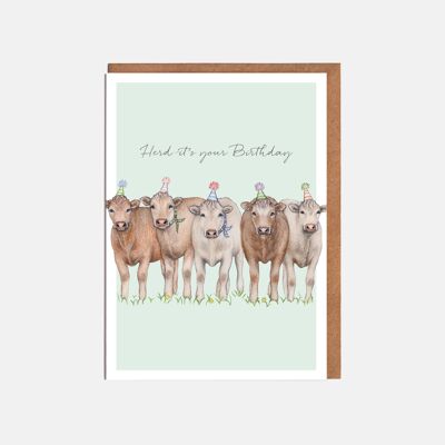 Herd Of Cows Birthday Cards - 'Herd It's Your Birthday'