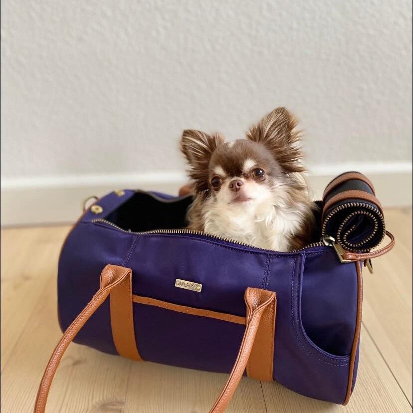 Pet Carrier M - Nylon/PU - Blue/Brown