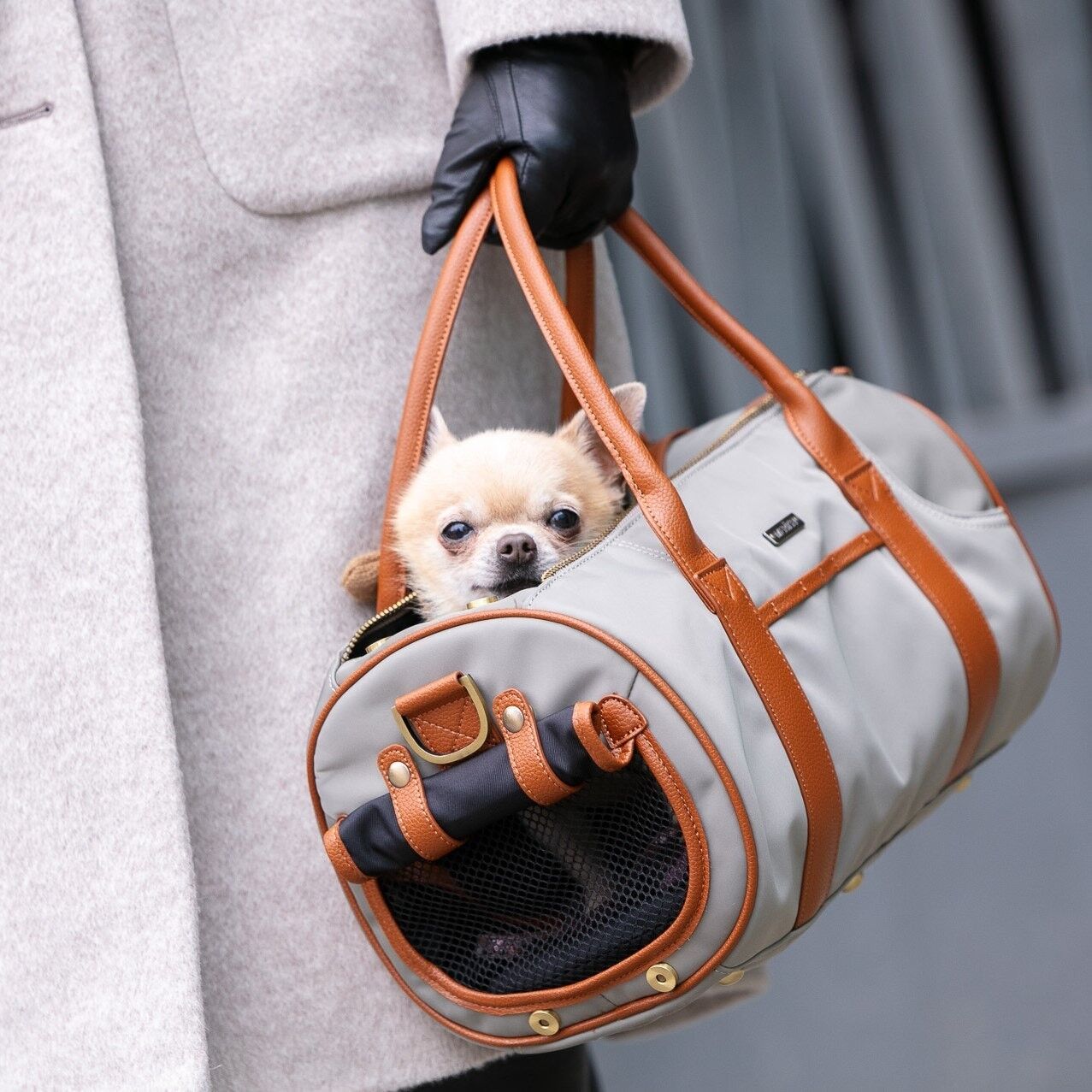 Nylon 2024 pet carrier