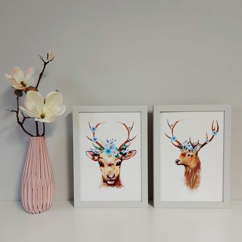 Print - Hirsch 🦌 mit Blumen 2er Set "Blau"  - A4 - mit Rahmen Hellgrau