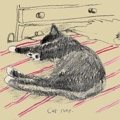 Katzennickerchen-Grußkarte