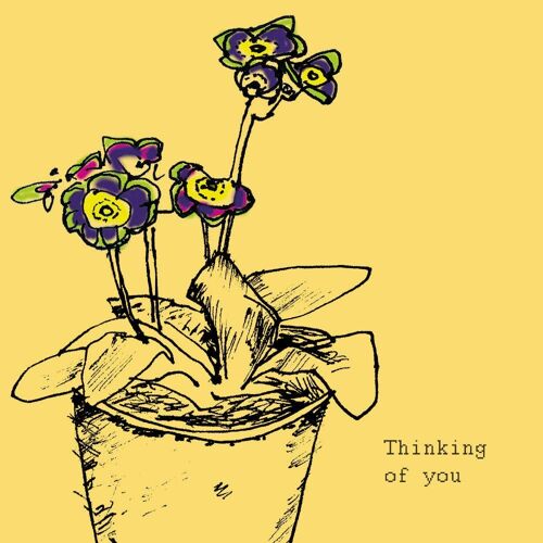 Auricula' Thinking of You Card