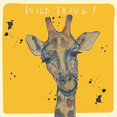 Saluti di Wild Thing, Studio Card