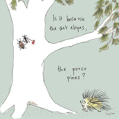 Porcupine' Greetings Card