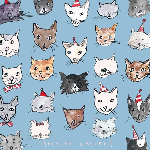 Pussies Galore' Greetings Card