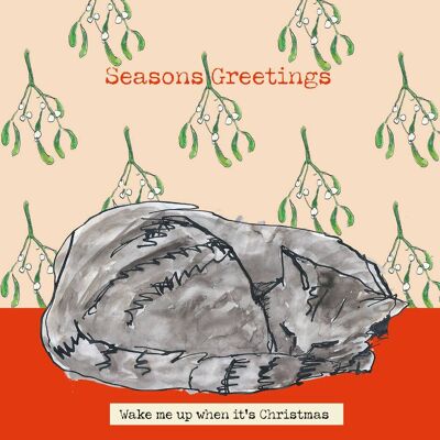 Wake Me Up Xmas Cat' Christmas Greetings Card