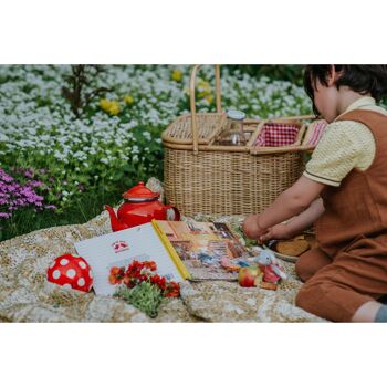 Kinderboek - De Picknick (Pays-Bas) - Het Muizenhuis 5