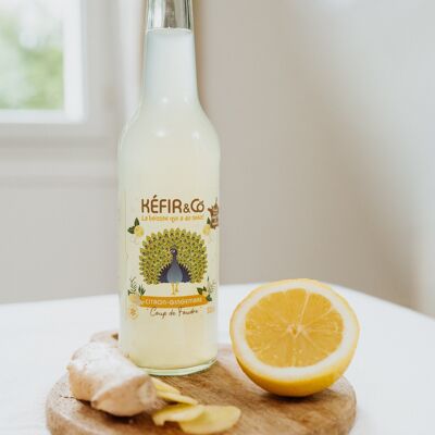 Fruit Kefir Lemon Ginger Organic - 33cl