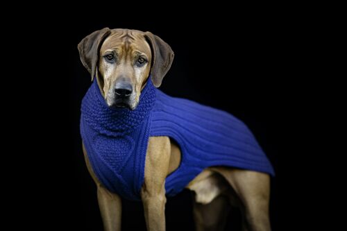 Hundepullover Classy, blau