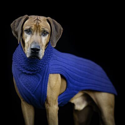 Hundepullover Classy, blau