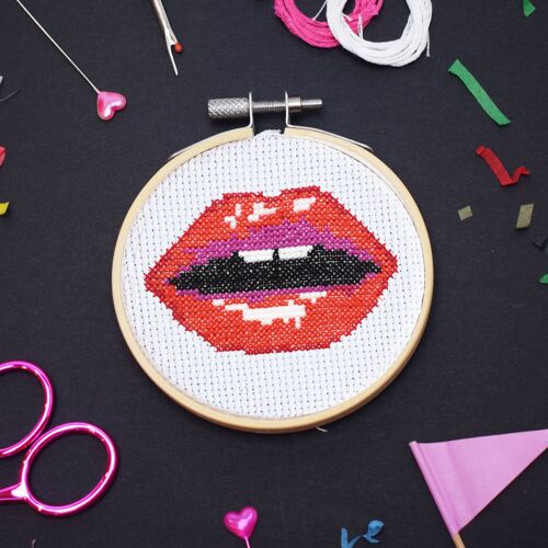 Read my Lips' Mini Cross Stitch Kit