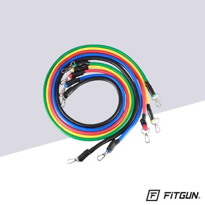 FitBand Pro®