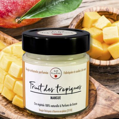 Mango scented candle (Fruit of the tropics)